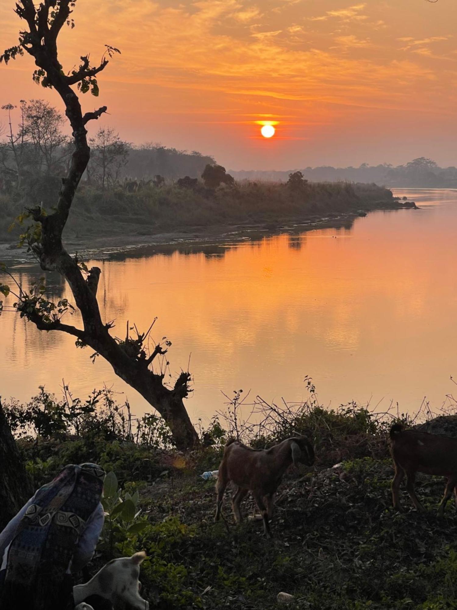 Chitwan Riverside Resort Sauraha Exterior foto